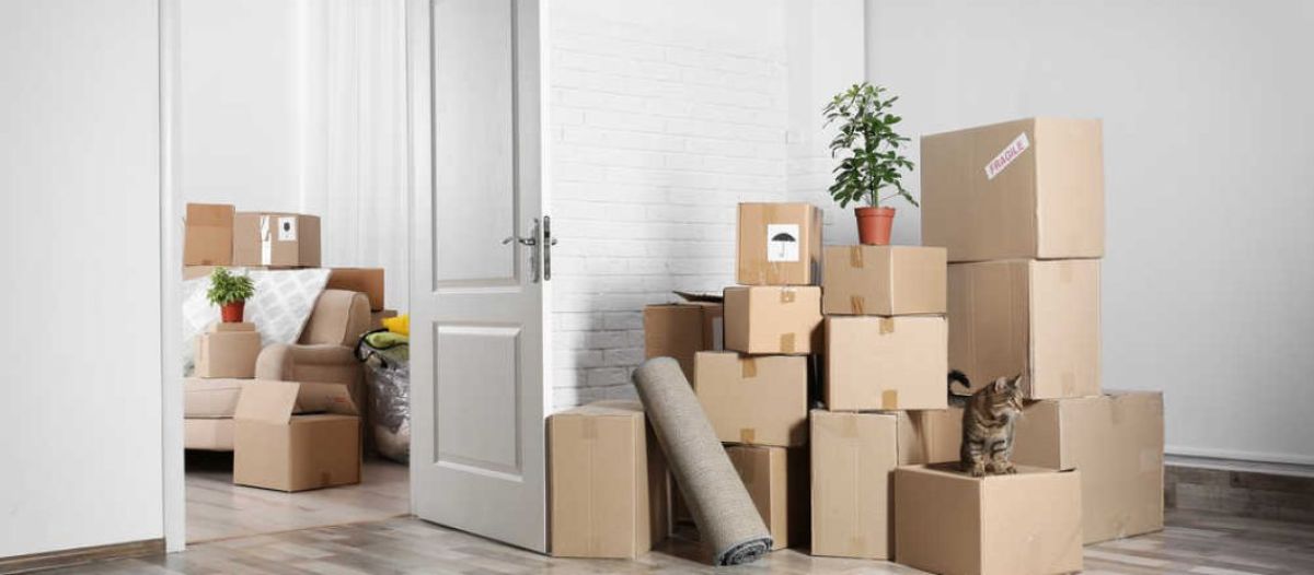 Custodia exclusiva en mudanzas frecuentes